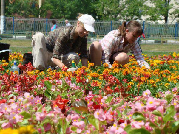 В досуговом центре парка «Ходынское поле» ждут цветоводов-любителей