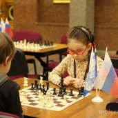 шахматная школа educhess на улице черняховского изображение 1 на проекте moiaeroport.ru