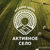брендинговое агентство endesign изображение 3 на проекте moiaeroport.ru