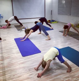 студия йоги happy yoga  на проекте moiaeroport.ru