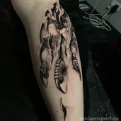 тату-салон ink devil tattoo изображение 12 на проекте moiaeroport.ru