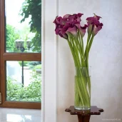 цветочный салон ирис изображение 1 на проекте moiaeroport.ru