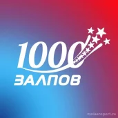магазин фейерверков 1000 залпов изображение 7 на проекте moiaeroport.ru