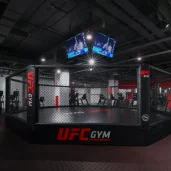 фитнес-клуб ufc gym изображение 3 на проекте moiaeroport.ru