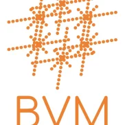 компания по автоматизации бизнеса bvm изображение 2 на проекте moiaeroport.ru